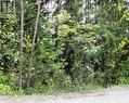 Lot 57 Lonneke Trail, Anglemont, BC 