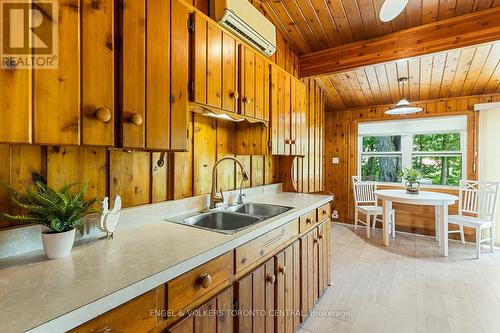 22 Urban Street, South Bruce Peninsula, ON - Indoor Photo Showing Kitchen With Double Sink