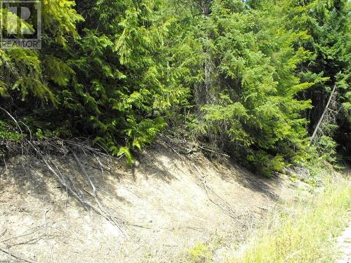 Lot 59 Copper Island Drive, Anglemont, BC 