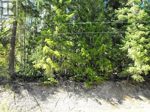 Lot 59 Copper Island Drive, Anglemont, BC 