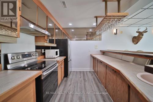 8339 Finnerty Sdrd N, Caledon, ON - Indoor Photo Showing Kitchen