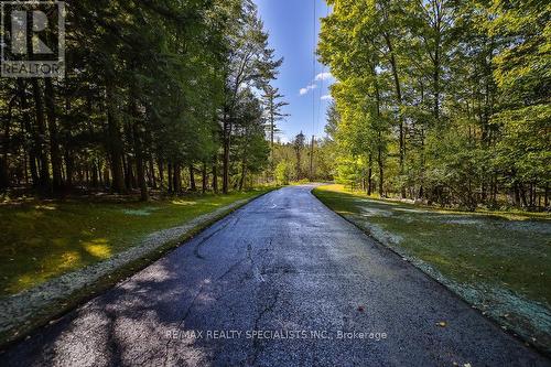 8339 Finnerty Side Road N, Caledon (Palgrave), ON - Outdoor With View