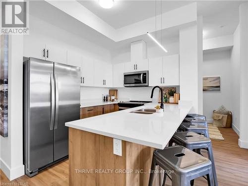 202 - 1076 Gainsborough Road, London, ON - Indoor Photo Showing Kitchen With Double Sink With Upgraded Kitchen