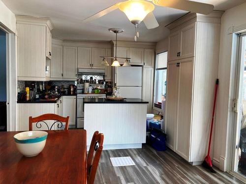 Kitchen - 101 Ch. De La Rivière, Saint-Mathieu-Du-Parc, QC - Indoor Photo Showing Kitchen