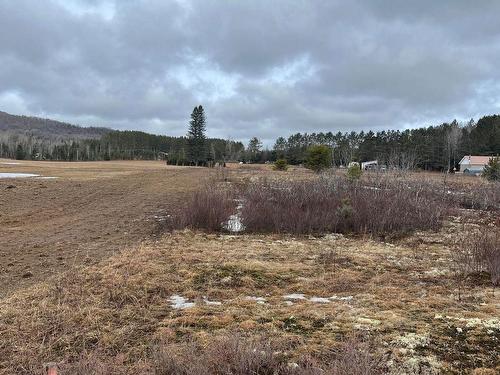 Terre/Terrain - Route 117 S., Rivière-Rouge, QC 