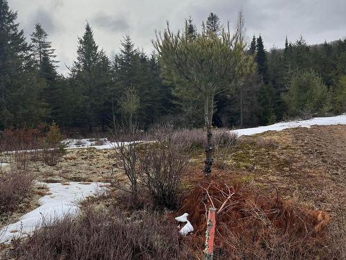 Terre/Terrain - Route 117 S., Rivière-Rouge, QC 