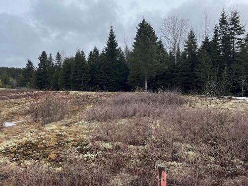 Terre/Terrain - Route 117 S., Rivière-Rouge, QC 