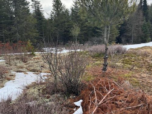 Terre/Terrain - Route 117 S., Rivière-Rouge, QC 