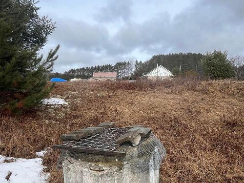 Terre/Terrain - Route 117 S., Rivière-Rouge, QC 