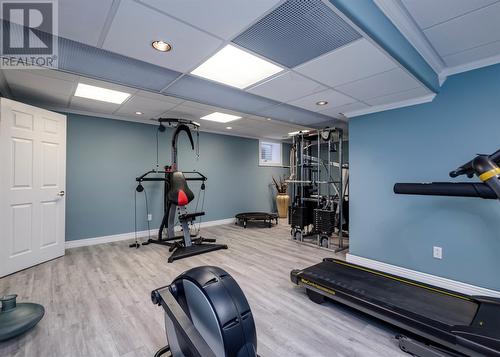 33 Frecker Place, Placentia, NL - Indoor Photo Showing Gym Room