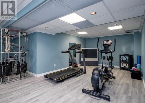 33 Frecker Place, Placentia, NL - Indoor Photo Showing Gym Room