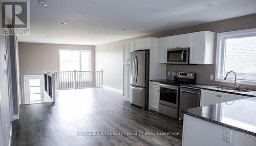 133 Howard Rd, Chatham-Kent, ON - Indoor Photo Showing Kitchen With Upgraded Kitchen