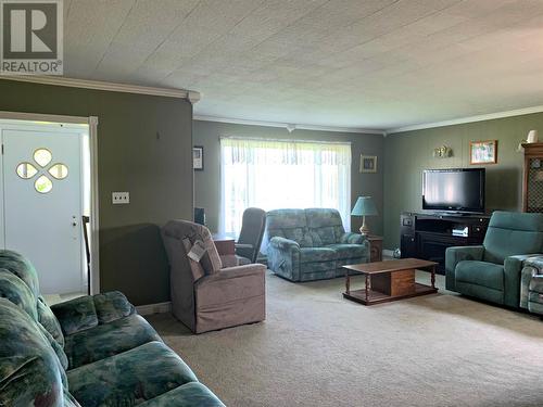 10 Baggs Road, Adams Cove, NL - Indoor Photo Showing Living Room