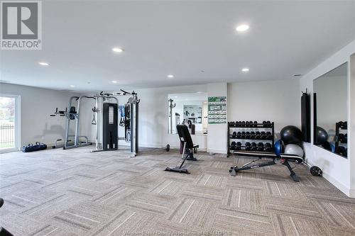 1489 Banwell Unit# 143, Windsor, ON - Indoor Photo Showing Gym Room