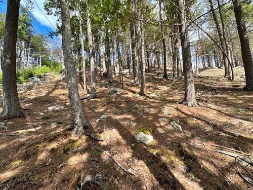 Lot 18 Thumb Cap Point, Labelle, NS 