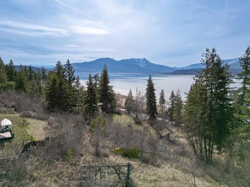 3619 Sunnybrae Canoe Point Road, Tappen, BC - Outdoor With Body Of Water With View