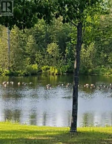 218 Fish And Game Club Rd, Quinte West, ON - Outdoor With Body Of Water With View