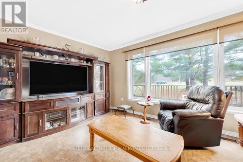 421 Labarge Rd, Tweed, ON - Indoor Photo Showing Living Room