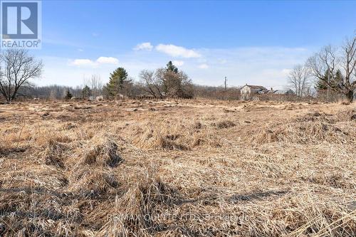 Across From 321 Quaker Road, Prince Edward County, ON 