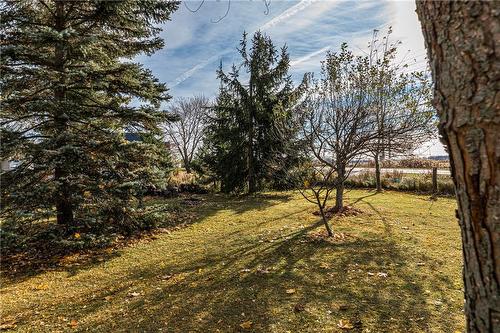 9868 Twenty Road W, Glanbrook, ON 