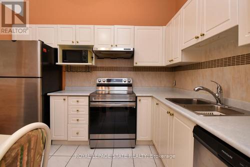 9 - 60 Rice Avenue, Hamilton, ON - Indoor Photo Showing Kitchen With Double Sink