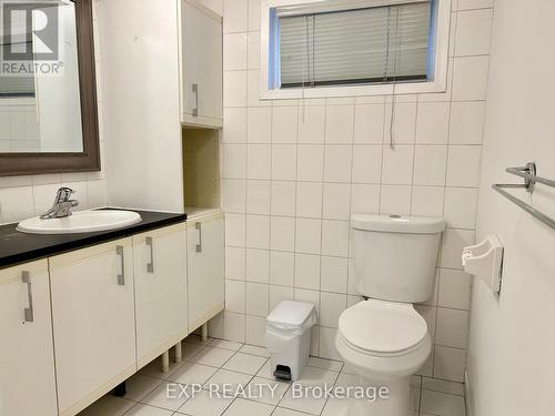 Lower - 84 Raylawn Crescent, Halton Hills, ON - Indoor Photo Showing Bathroom