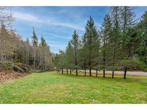 561 Sabre Rd, Sayward, BC - Outdoor With View