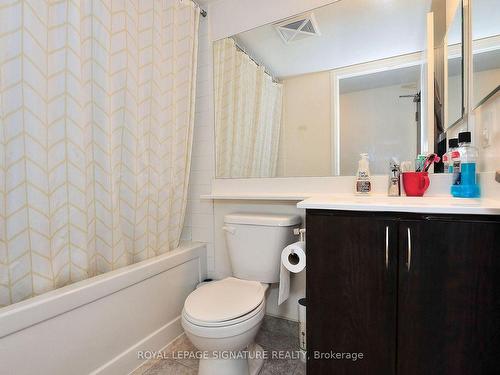 719-1060 Sheppard Ave W, Toronto, ON - Indoor Photo Showing Bathroom