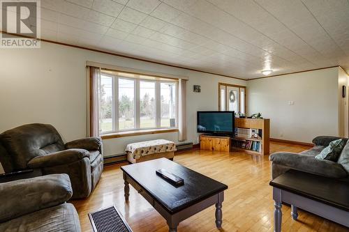 126 Seymours Road, Spaniards Bay, NL - Indoor Photo Showing Living Room