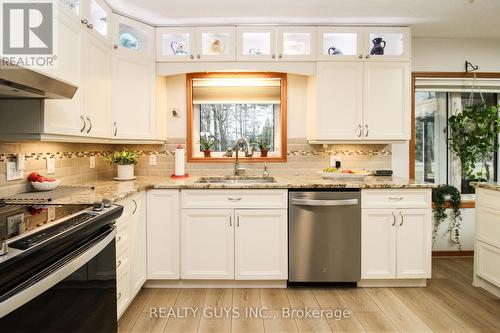 166 Adam And Eve Road, Galway-Cavendish And Harvey, ON - Indoor Photo Showing Kitchen With Upgraded Kitchen