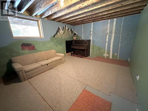 3338 Pigeon Road, 150 Mile House, BC - Indoor Photo Showing Basement