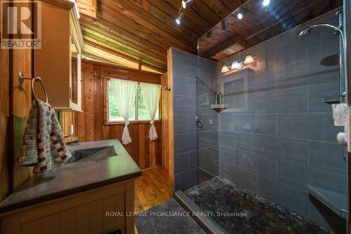 1441B South Kash Lake Lane, North Frontenac, ON - Indoor Photo Showing Bathroom