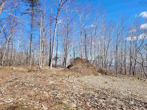 Lot Efl-3A Gospel Road, Arlington, NS 