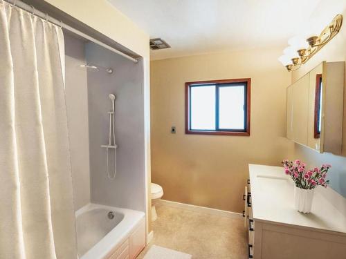 6790 Tucelnuit Drive, Oliver, BC - Indoor Photo Showing Bathroom
