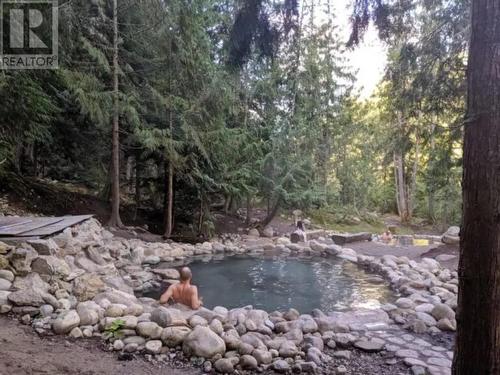 3299 Loschinski Road, Revelstoke, BC - Outdoor With Body Of Water With View