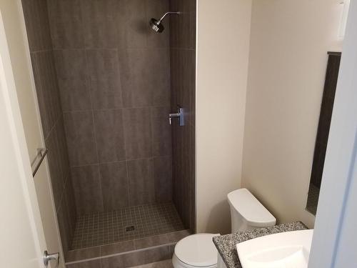2205 2260 Sleeping Giant Parkway, Thunder Bay, ON - Indoor Photo Showing Bathroom