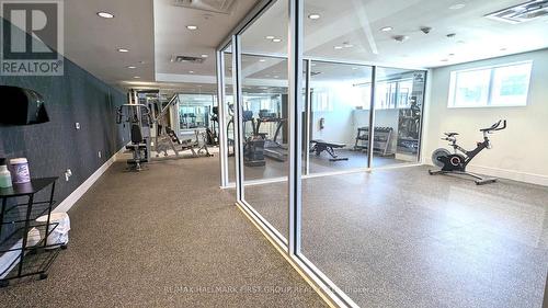 411 - 16 Markle Crescent, Hamilton, ON - Indoor Photo Showing Gym Room