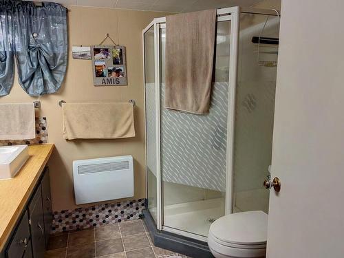 Salle de bains - 99 Route Lagacé, Matapédia, QC - Indoor Photo Showing Bathroom