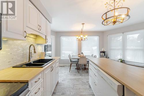 54 Randolf Crt, Hamilton, ON - Indoor Photo Showing Kitchen With Double Sink