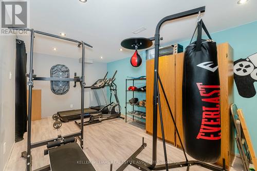 54 Randolf Crt, Hamilton, ON - Indoor Photo Showing Gym Room