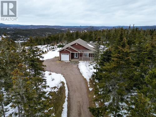124 Cemetery Lane, Harbour Main, NL - Outdoor With View