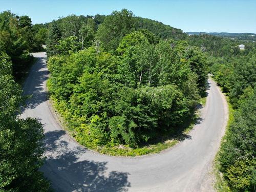 Terre/Terrain - Rue Du Mont-Rainer, Sainte-Agathe-Des-Monts, QC 