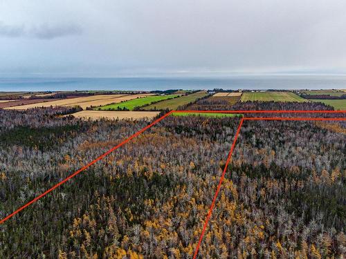 86 Acres Cape Bear Rd, Murray Harbour, PE 