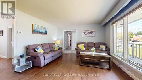 19 Locke Ave, Clearview, ON - Indoor Photo Showing Living Room