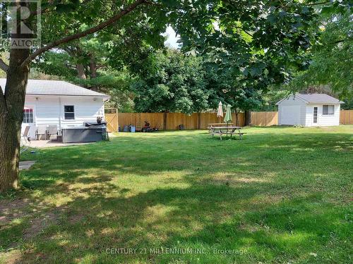 19 Locke Ave, Clearview, ON - Outdoor With Backyard