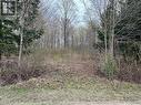 77360 Forest Ridge Road, Central Huron, ON 
