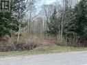 77360 Forest Ridge Road, Central Huron, ON 