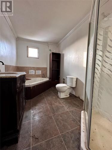637 Sunset Drive, Garnish, NL - Indoor Photo Showing Bathroom