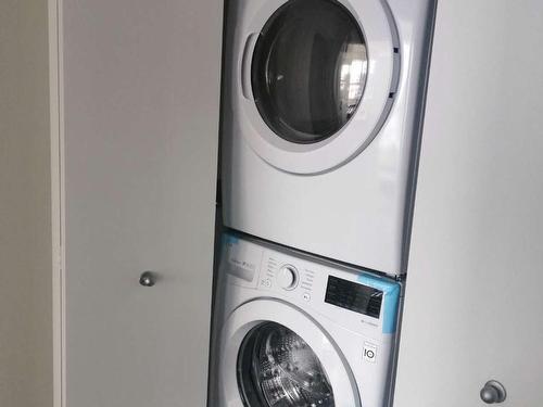 Laundry room - 1009-1700 Rue Viola-Desmond, Montréal (Lasalle), QC - Indoor Photo Showing Laundry Room