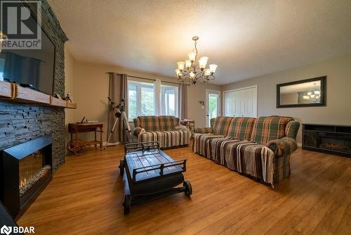 18776 Highway 41, Cloyne, ON - Indoor Photo Showing Living Room With Fireplace